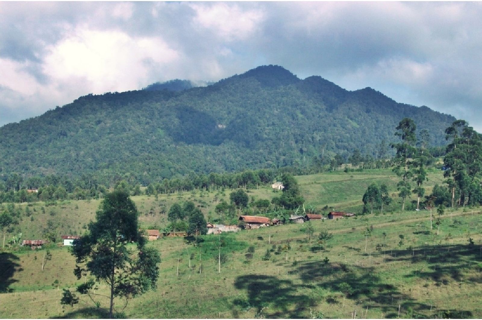 Perbukitan